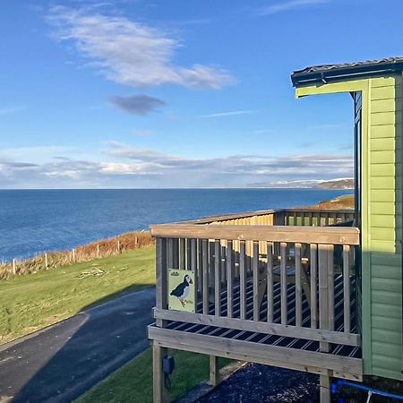Morfa Bychan Holiday Park Llanychaiarn Luaran gambar